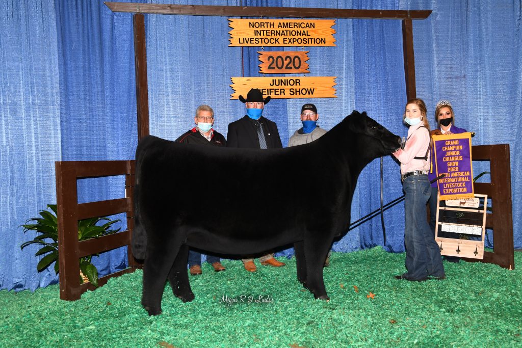 1ChChiAngus_Jr_MJR_0793