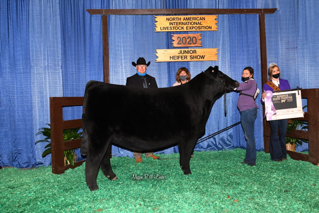 2ResChChiAngus_Jr_MJR_0803