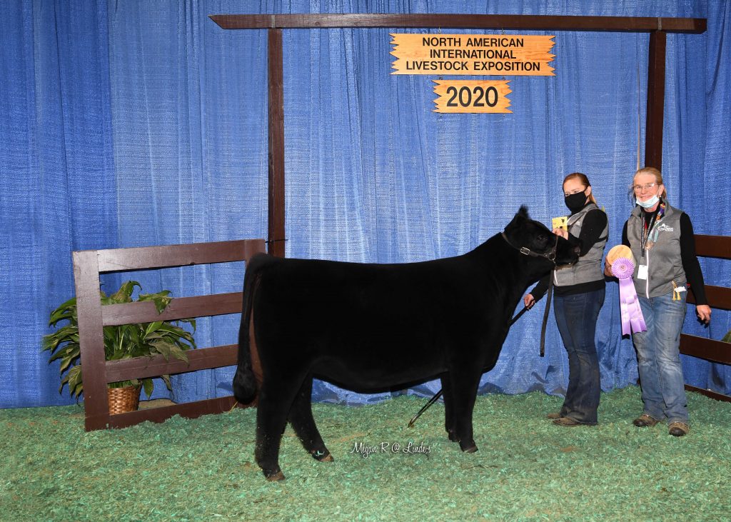 CA Late Jr Hfr Res
