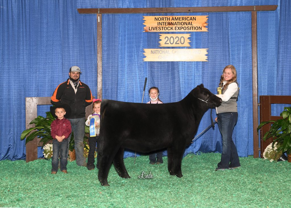 CA Sum Hfr Calf Champ