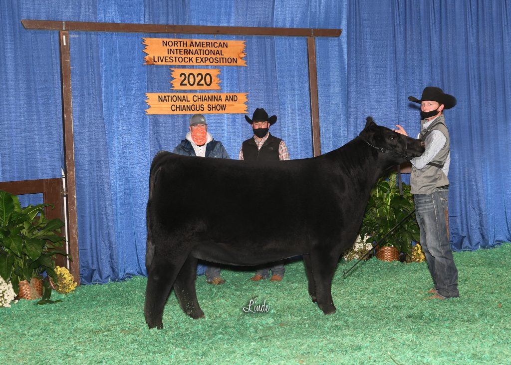 CA Sum Yrlg Fem Champ