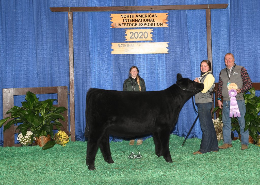 CHI Early Jr Hfr Calf Res