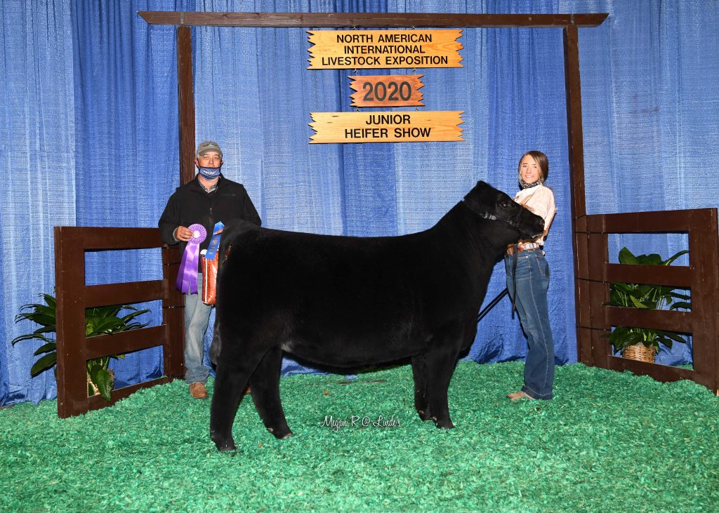 JR CA Early Jr Heifer Calf Champ
