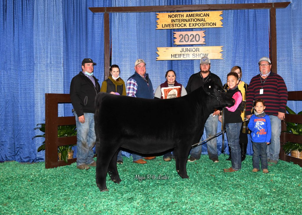 JR CA Sr Hfr Calf Champ