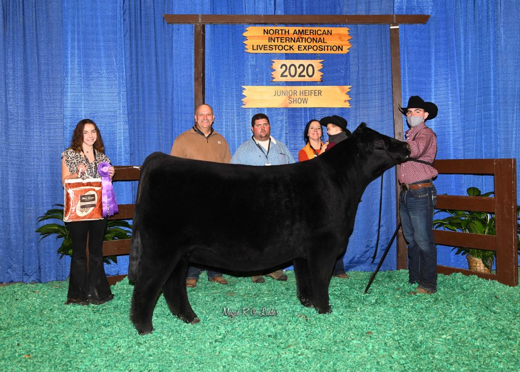 JR CHI Late Spring Yrlg Champ