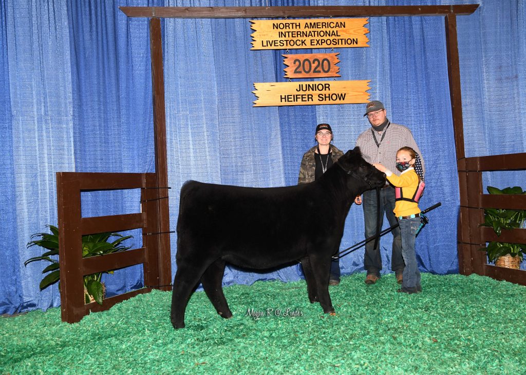 JR CHI Sum Hfr Calf Res