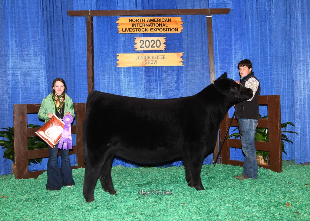 JR CHI Sum Yrlg Champ