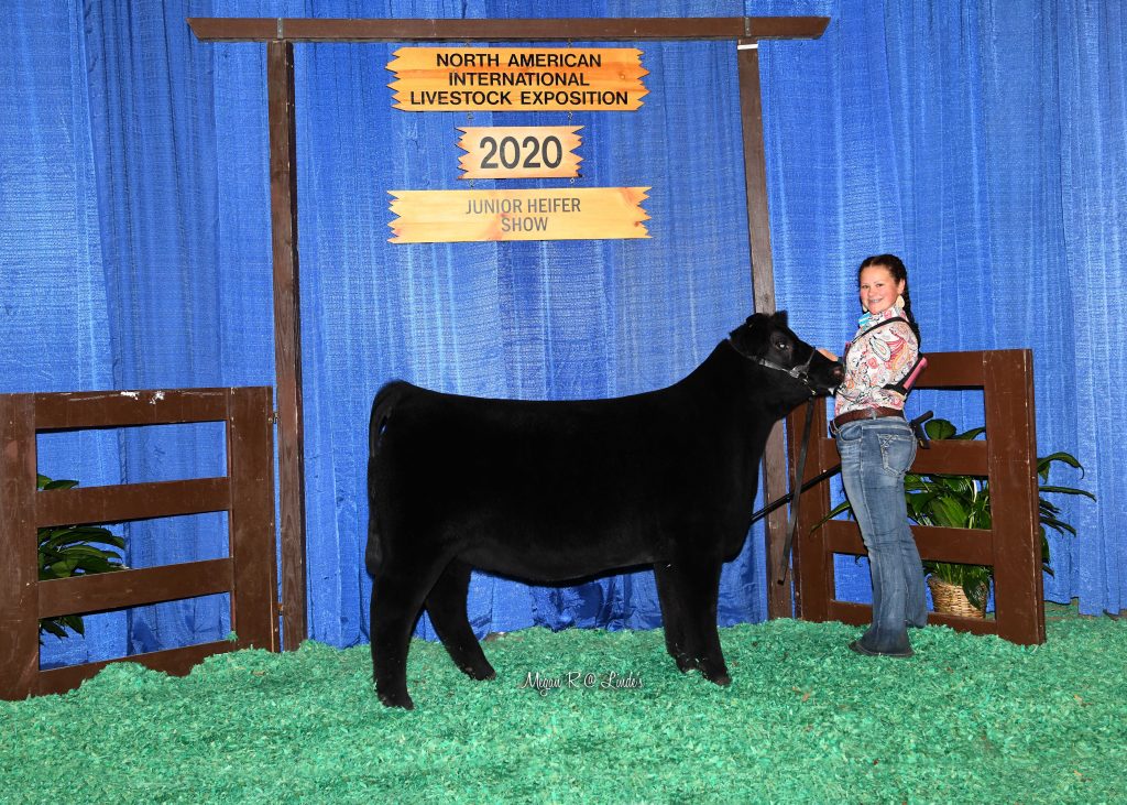 JR Early Jr Hfr Calf Res