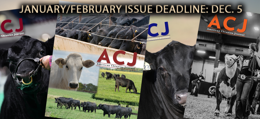 American Chianina Association